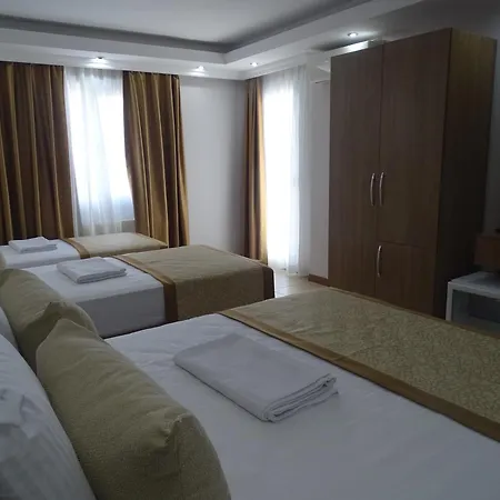 Lion Otel 3*