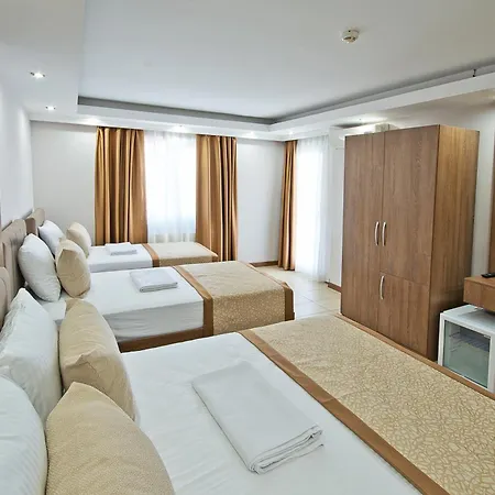 Hotel Lion 3*