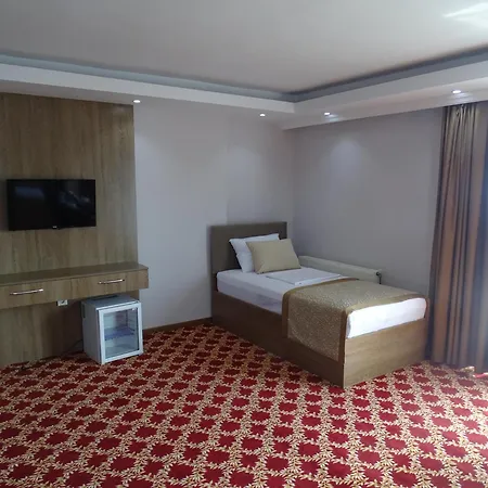 Hotel Lion
